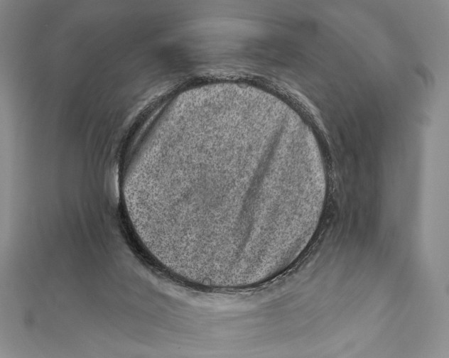 X0000111870020200908201226