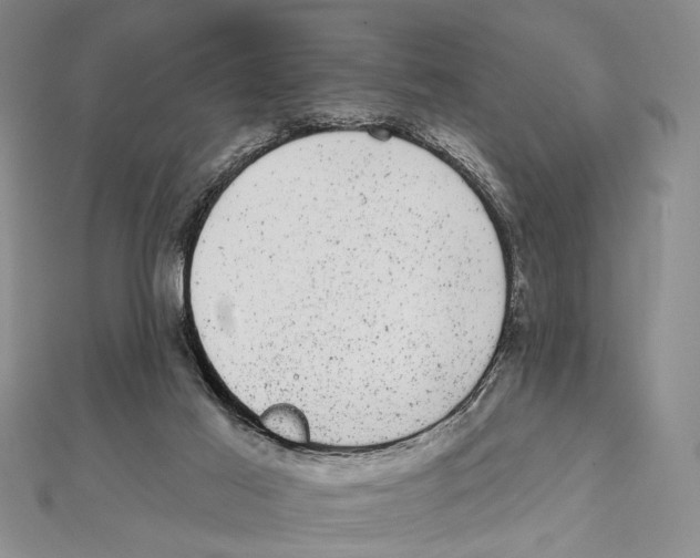 X0000111870021200908201226