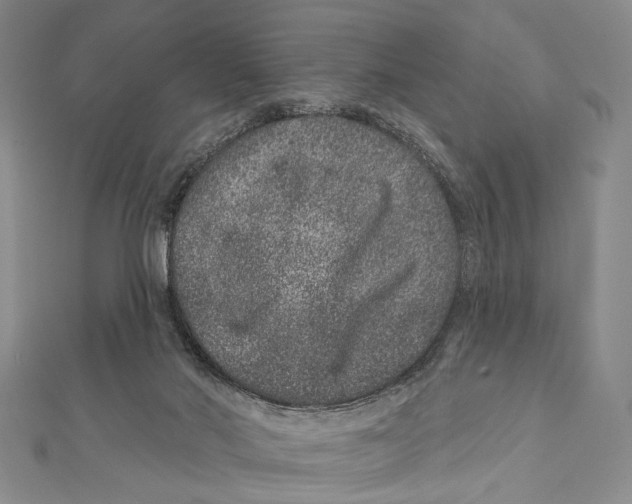 X0000111870022200908201226