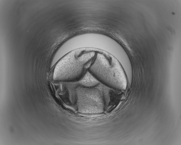 X0000111870023200908201226