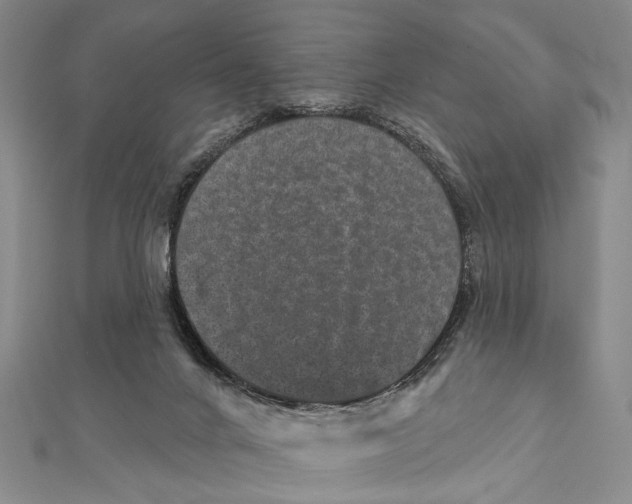 X0000111870024200908201226