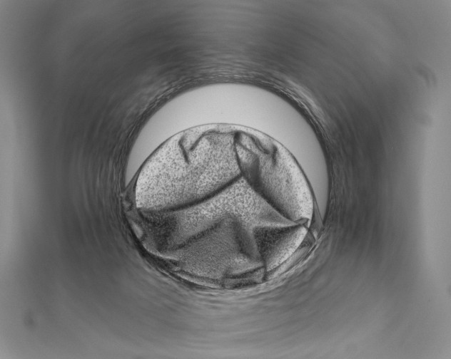 X0000111870025200908201226