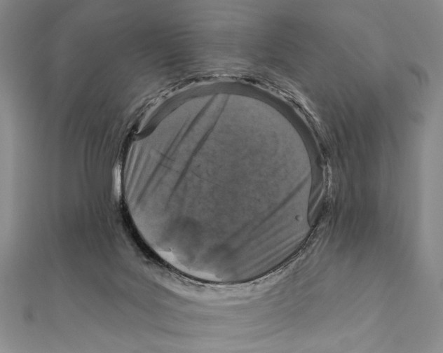 X0000111870027200908201226