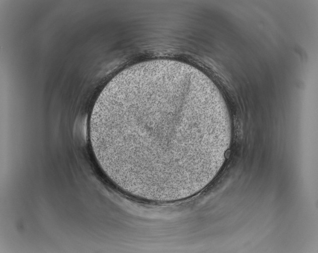 X0000111870028200908201226