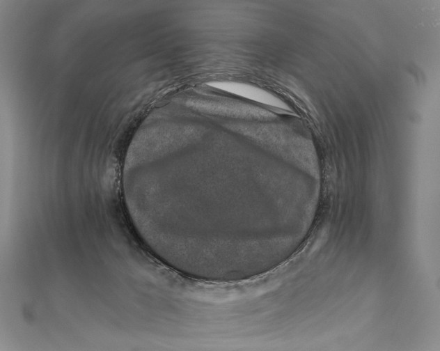 X0000111870029200908201226