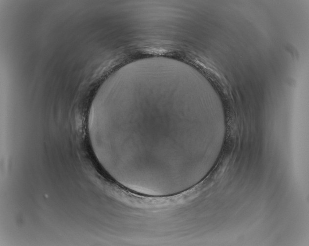 X0000111870031200908201226