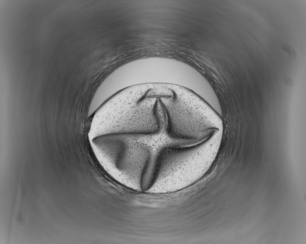 X0000111870033200908201226