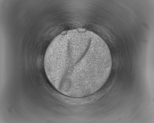 X0000111870034200908201226