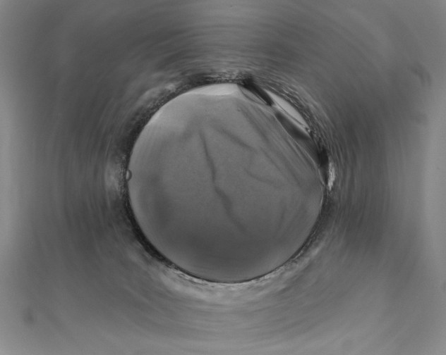 X0000111870035200908201226