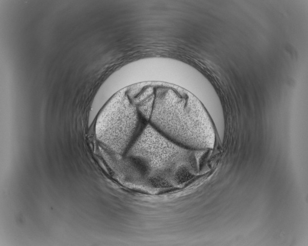 X0000111870037200908201226