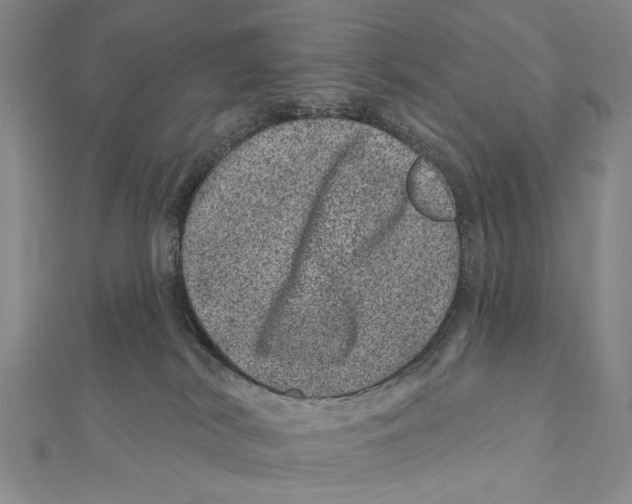 X0000111870038200908201226