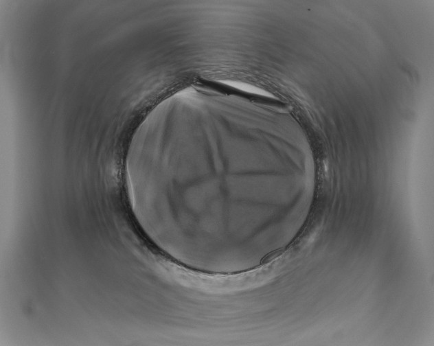 X0000111870039200908201226