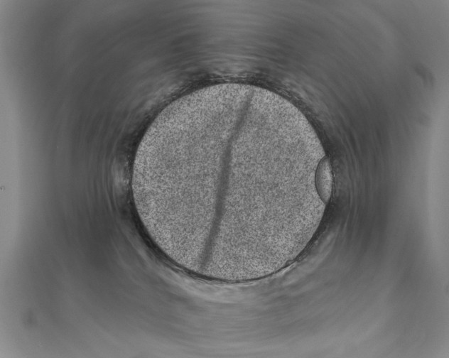 X0000111870040200908201226