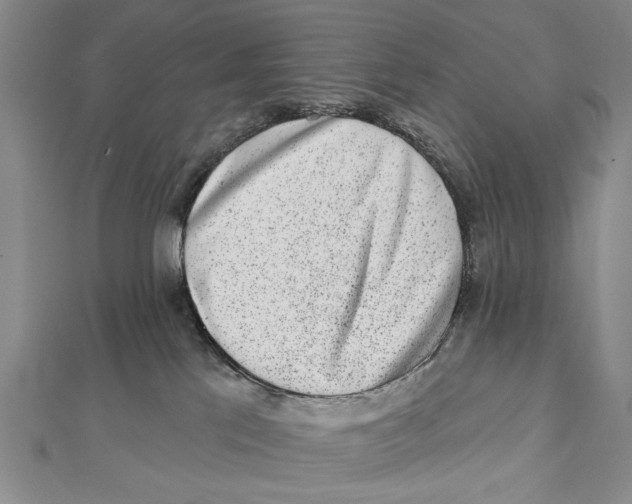 X0000111870041200908201226