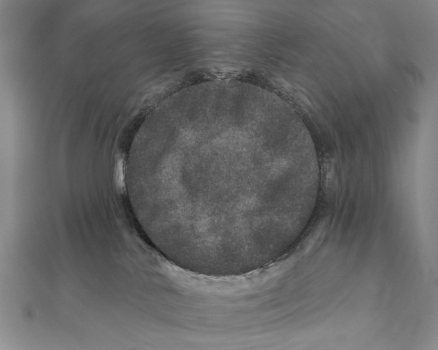 X0000111870042200908201226