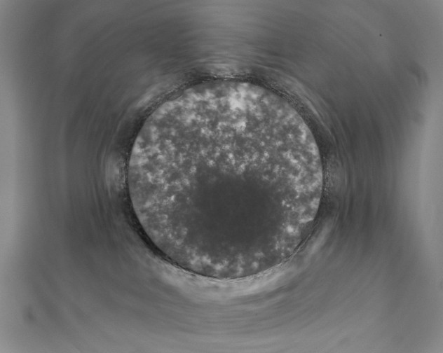 X0000111870043200908201226