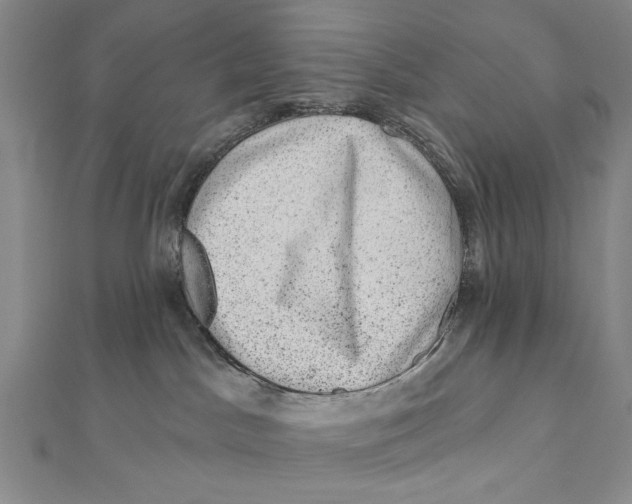 X0000111870045200908201226