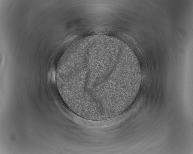 X0000111870046200908201226