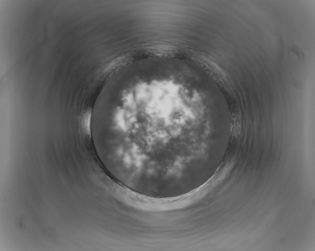 X0000111870047200908201226