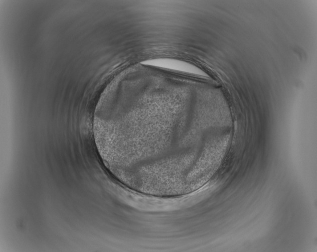 X0000111870048200908201226