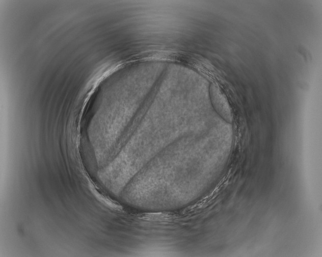 X0000111870050200908201225