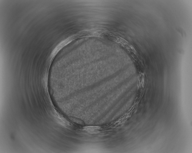 X0000111870051200908201225