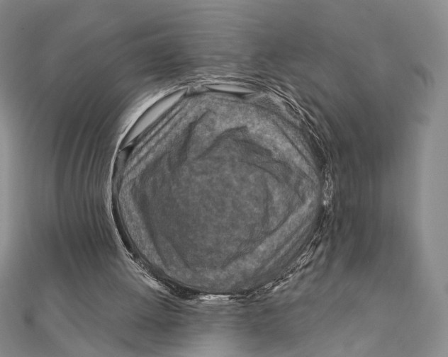 X0000111870052200908201225