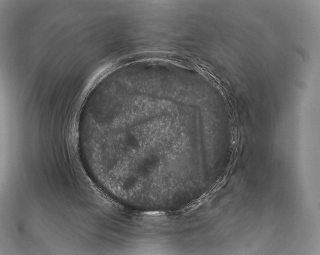 X0000111870053200908201225