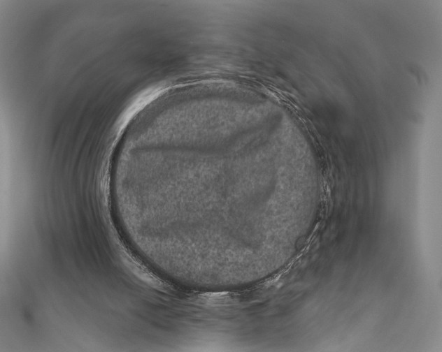 X0000111870054200908201225