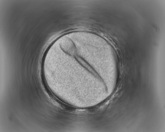 X0000111870055200908201225