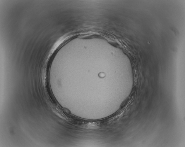 X0000111870056200908201225