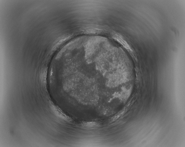 X0000111870058200908201225