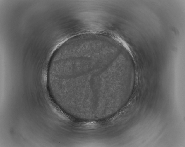 X0000111870059200908201225