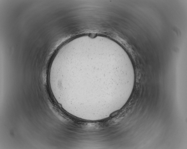 X0000111870060200908201225