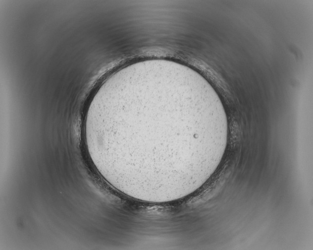 X0000111870064200908201225