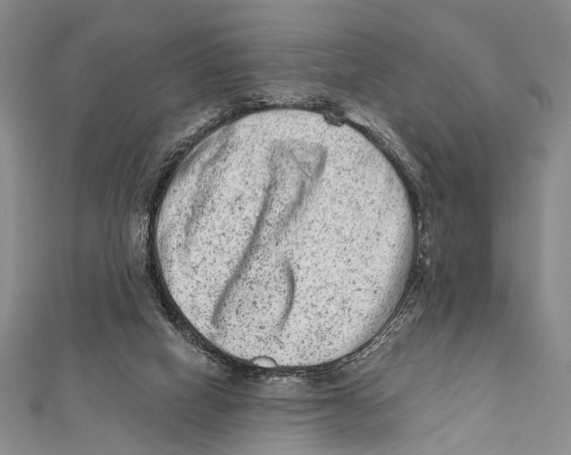 X0000111870066200908201225