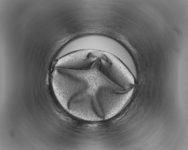 X0000111870068200908201225