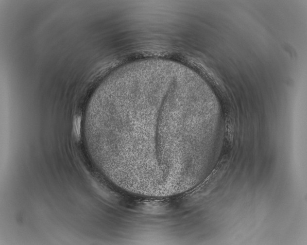 X0000111870070200908201225