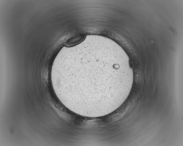 X0000111870072200908201225