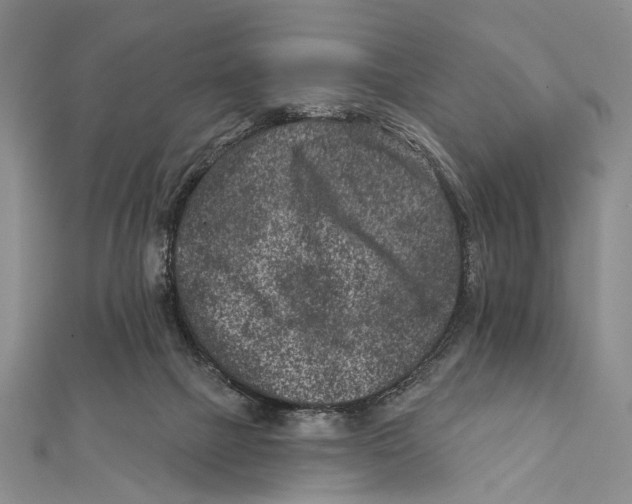 X0000111870073200908201225