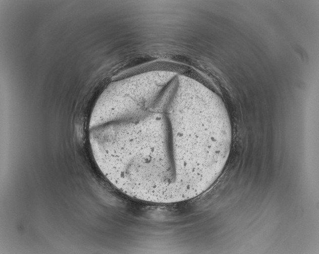 X0000111870074200908201225