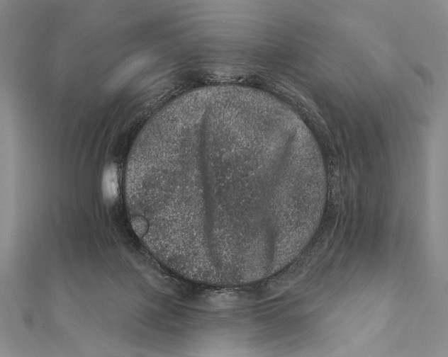 X0000111870075200908201225