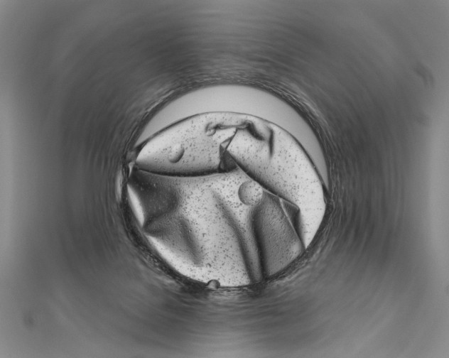 X0000111870076200908201225