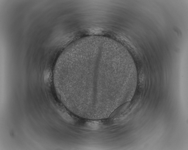 X0000111870079200908201225