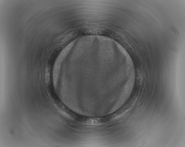 X0000111870080200908201225