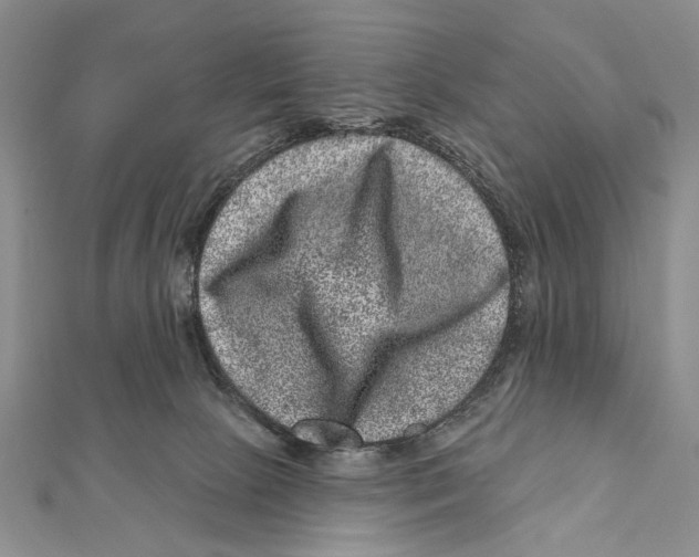 X0000111870081200908201225