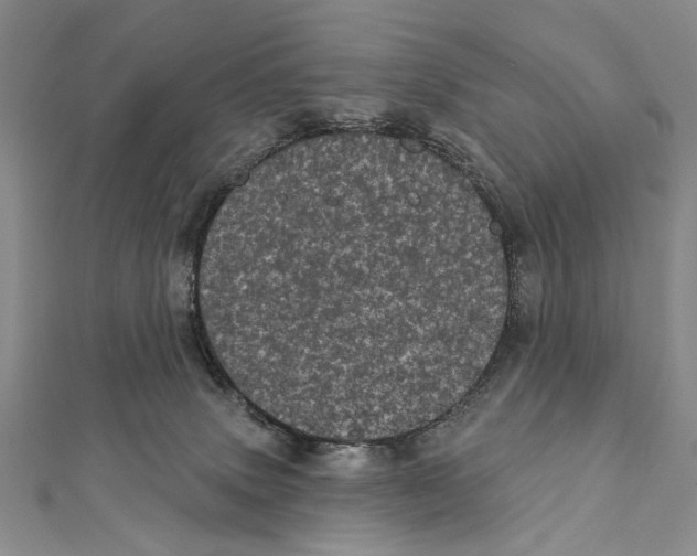 X0000111870083200908201225