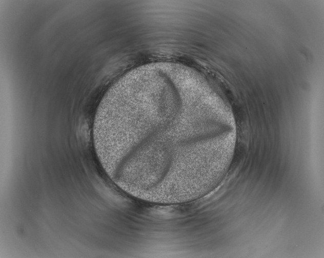 X0000111870086200908201225