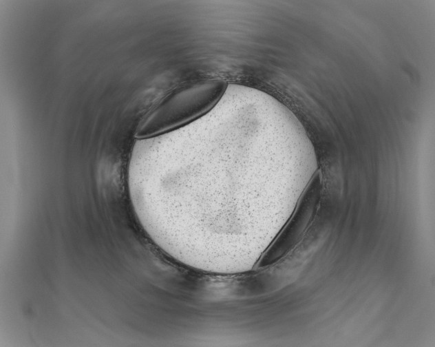 X0000111870088200908201226