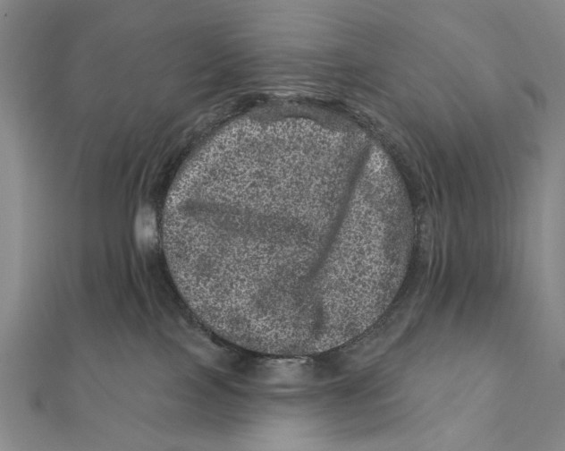 X0000111870089200908201226